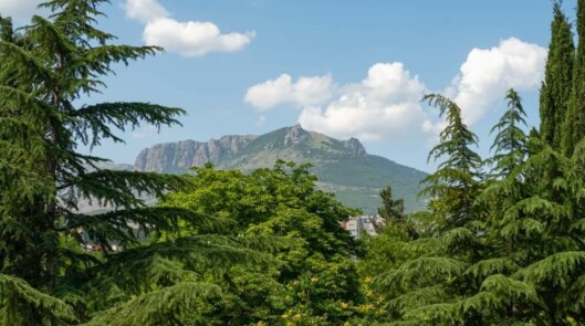 Реликтовый парк