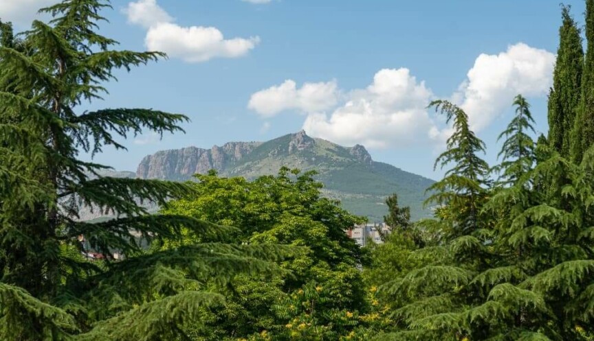 Реликтовый парк